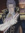 Taylor Lebel | 6 comments