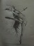 Nan Xi