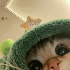 Mili