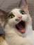 Atlin J...