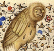 Laurute