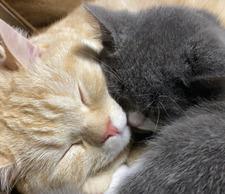  لِـيـن. &#x1f90d;