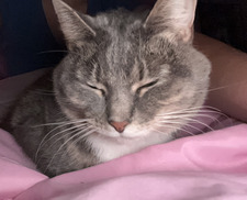 Lily