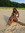 nicole aufie