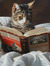 lizbook...