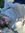 member photo member photo