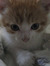 zosia ⋆˚࿔