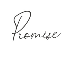 Promise
