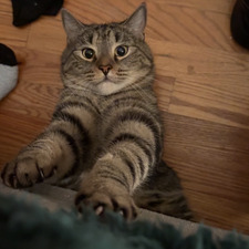 emma&#x1fa77;&#x1fa77;&#x1fa77;