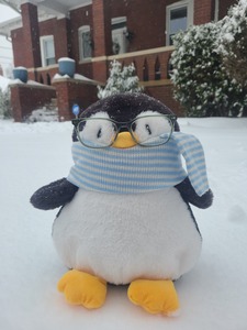 Roger The Penguin