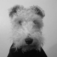 Adelaide LeDoux-Sutor