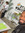 Abdul Malik Mangum