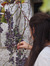 Cristin...