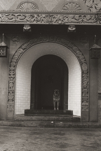 Constanza (Mariña) Altamirano