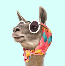 |هديــــه•م|