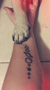 veromou