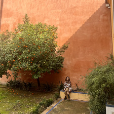 Ancsi