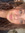 Sofia Penteado