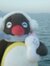 Sylvester