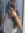 Delphine Demets | 4 comments