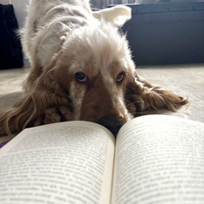 emcia (✿◠‿◠)