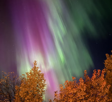 ⋆⁺₊⋆chelle ☾