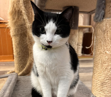 Brianni ✩₊˚.⋆☾⋆⁺₊✧