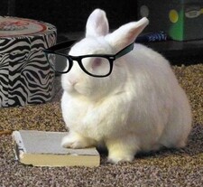  Adri (Bookworm Edition)