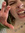 Alisha