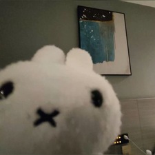 Miffy