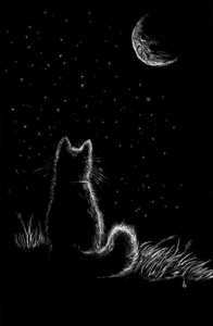 Hadjer Abd Elkader DANA