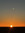 MidwestCinnamon88