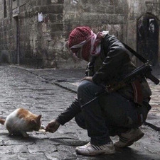 Sands of The Nile⏳