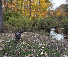 Ashley Hausmann (Almstrom)