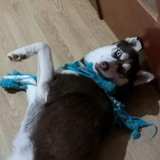 Elsa Pueyo