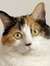 Mylene ...