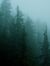 marlo