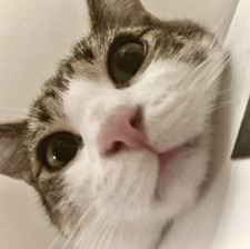 jayde ˚ ༘ ೀ⋆｡˚