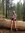 Shawna Bartson