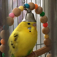 biz