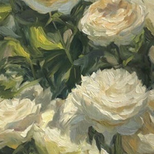 Kara🪷