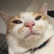 Mich