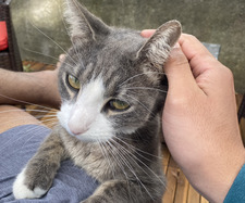 Eduardo Lucas-Lebron