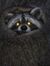 Mothers_eyes
