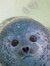 Moonie