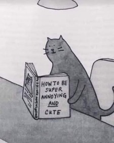 ✿ sana⁷ ʚᵔ ᵕ ᵔɞ