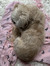 Amy Tay...