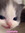 Dorian