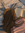 bri bri ˖ . ݁&#x1d717;&#x1d71a;. ݁₊ | 3 comments