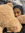 Fatimah Rahman